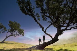 Grenzenlose Freiheit