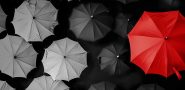 Forum-fuer-Fuehrung-Fuer-weibliche-Fuehrungskraefte
